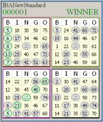 IBA Bingo Blashboard Screenshot #7
