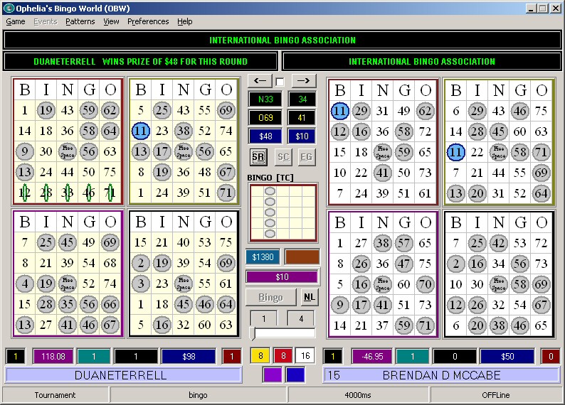 This is a bingo game that u can play on a PC